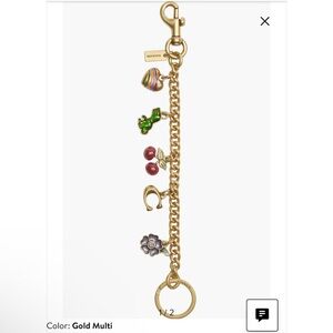 Coach Gold Multi-Color Charm Key Holder